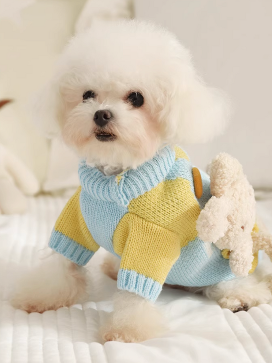 Teddy Bear Knitted Sweater